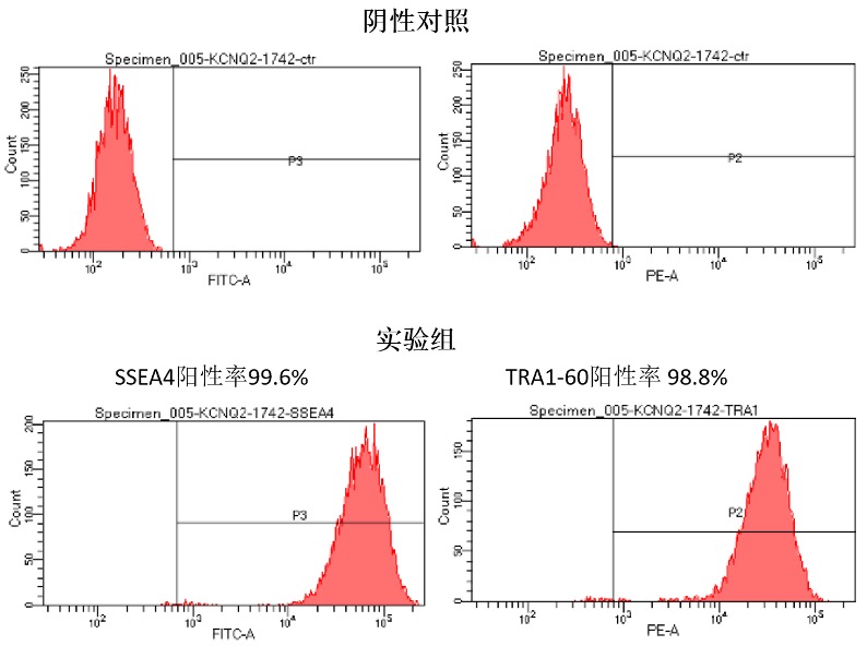 Flow cytometric identification of the proportion of iPSC-specific markers